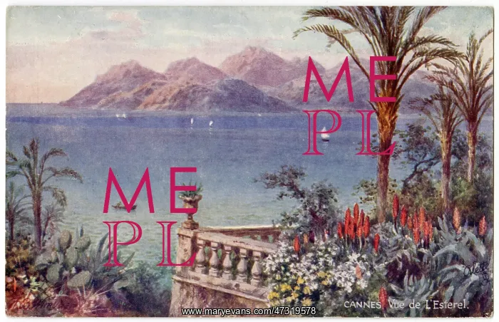  : CANNES / FROM L'ESTEREL