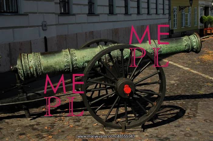  : Cannon. Budapest. Hungary