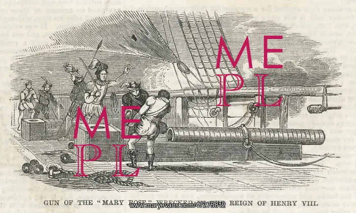 : CANNON ON MARY ROSE : CANNON ON MARY ROSE