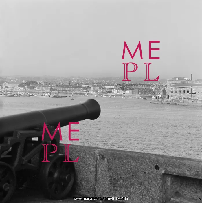 : Cannon at Mount Edgcumbe : Cannon at Mount Edgcumbe