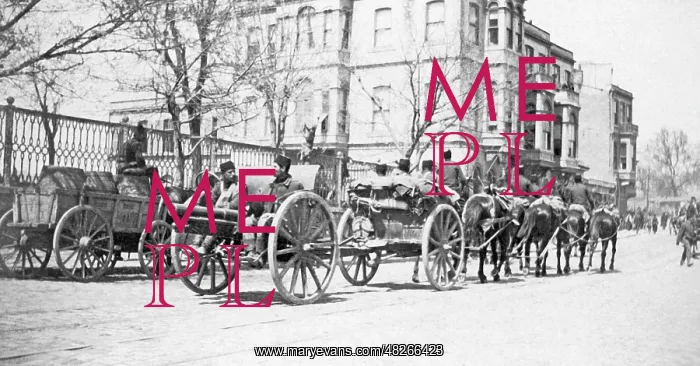 : Cannons of the revolutionary Young Turks, 1908 : Cannons of the revolutionary Young Turks, 1908