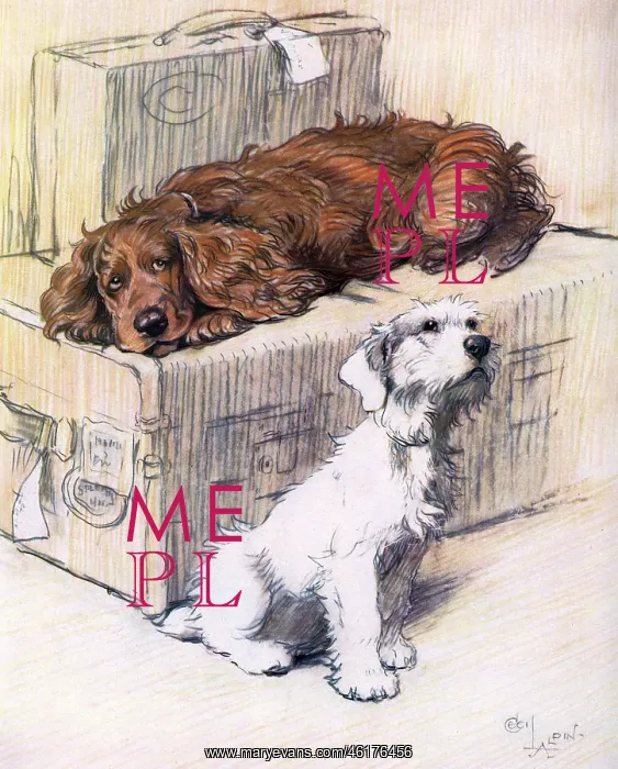 : Can't We Come Too? by Cecil Aldin : Can't We Come Too? by Cecil Aldin