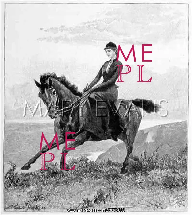  : CANTERIND SIDESADDLE