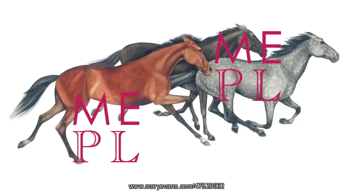 : Three Cantering Horses : Three Cantering Horses