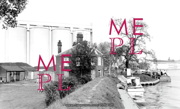  : Cantley, the Red House Hotel c1965