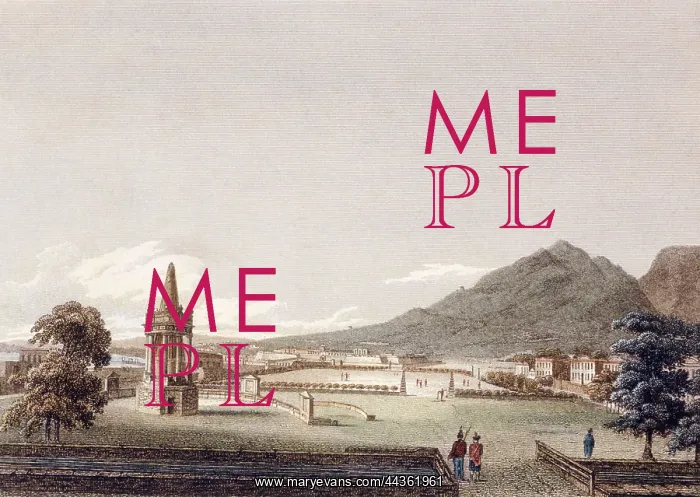 : Cape Town from the Heer Graght, 1812 : Cape Town from the Heer Graght, 1812