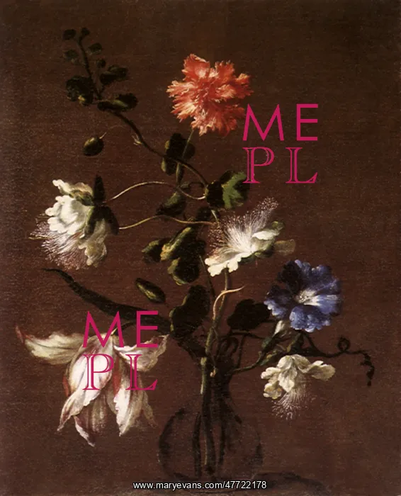 : Three Caper Flowers, a Carnation, a Bindweed, and a Tulip : Three Caper Flowers, a Carnation, a Bindweed, and a Tulip