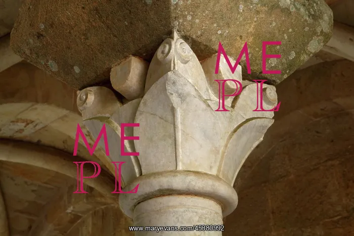 : Capital with foliage carvings from the Chapter : Capital with foliage carvings from the Chapter