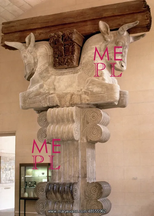 : Capital. Palace of Darius I : Capital. Palace of Darius I