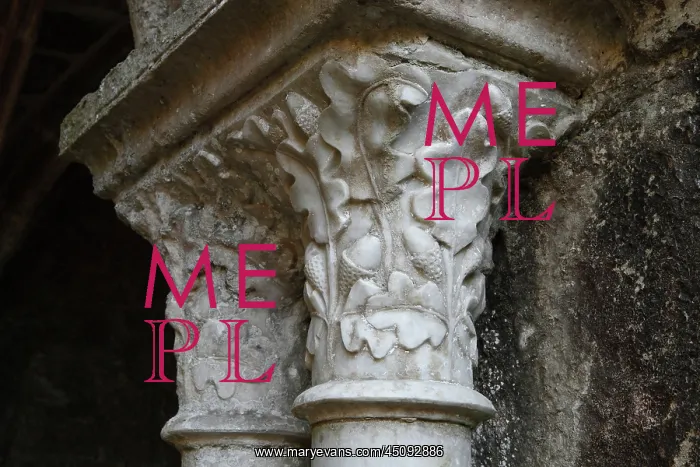 : Capitals from Cloister of Fontfroide Abbey : Capitals from Cloister of Fontfroide Abbey