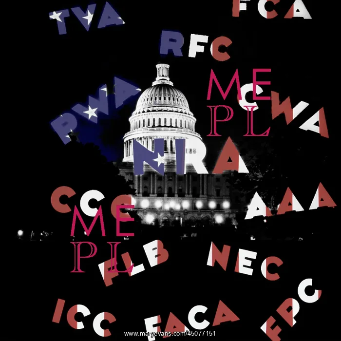 : Capitol at Night with Overlay Alphabet Acronyms New : Capitol at Night with Overlay Alphabet Acronyms New