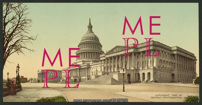 : The Capitol at Washington