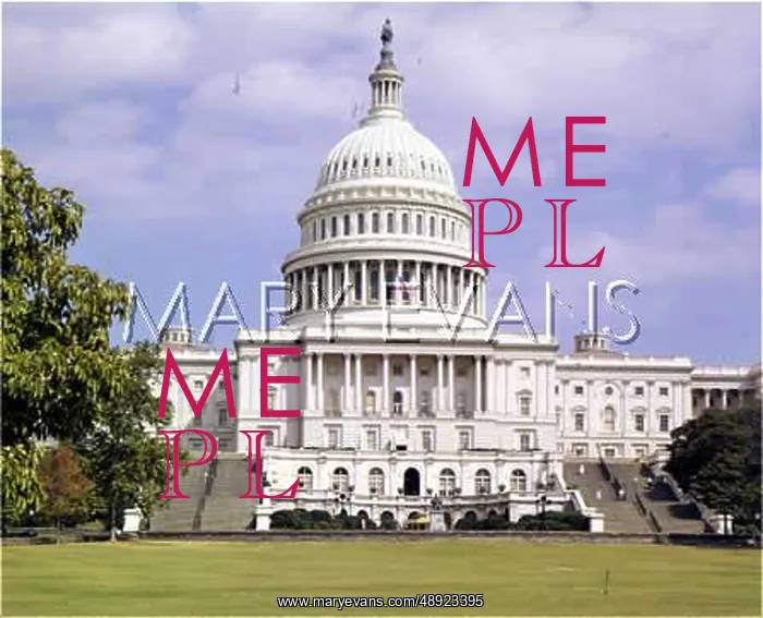 : THE CAPITOL, WASHINGTON : THE CAPITOL, WASHINGTON