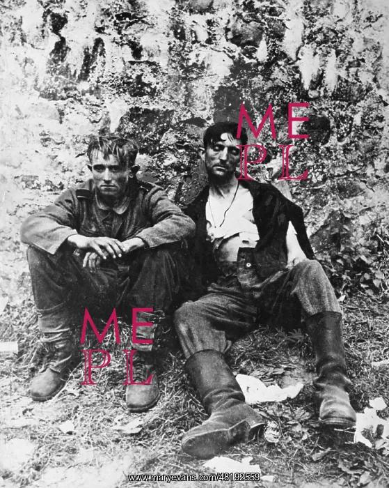 : Capitulation of the Wehrmacht, 1945 : Capitulation of the Wehrmacht, 1945