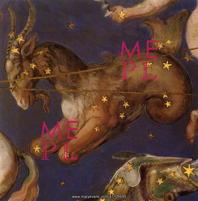 : Capricorn the Goat : Capricorn the Goat