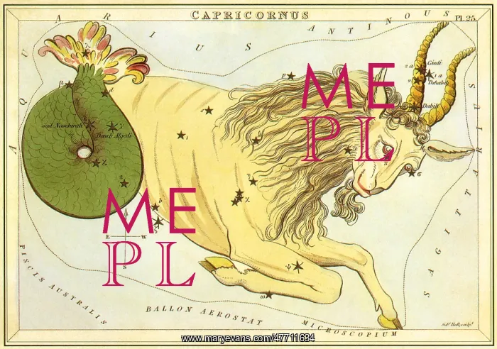: Capricorn, the Goat : Capricorn, the Goat