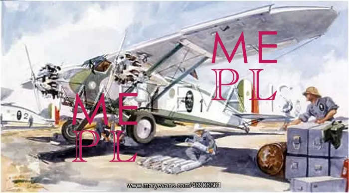 : CAPRONI IN ETHIOPIA : CAPRONI IN ETHIOPIA