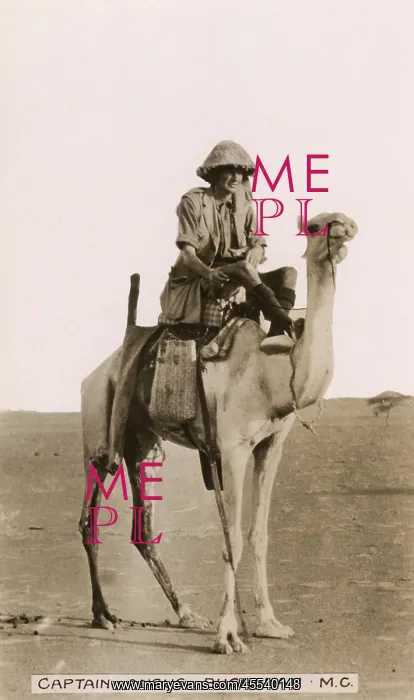 : Captain Angus Buchanan on a camel in Mesopotamia : Captain Angus Buchanan on a camel in Mesopotamia