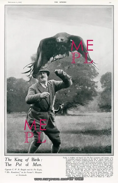 : Captain C.W.R. Knight with his pet eagle : Captain C.W.R. Knight with his pet eagle