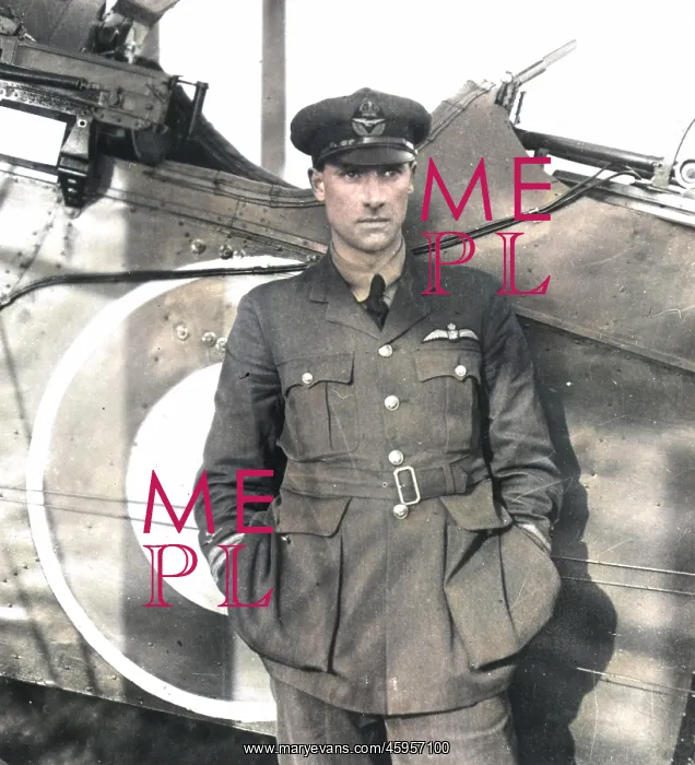 : Captain Geoffrey de Havilland, designer and pilot : Captain Geoffrey de Havilland, designer and pilot