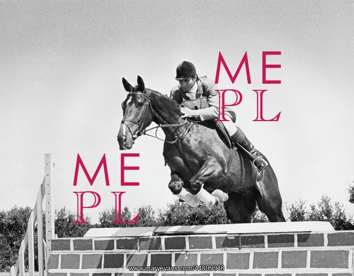 : Captain Mark Phillips in show jumping event, Cornwall : Captain Mark Phillips in show jumping event, Cornwall