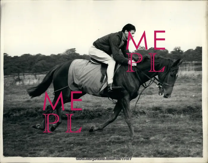 : Captain Peter Townsend riding at Billingbear Park : Captain Peter Townsend riding at Billingbear Park