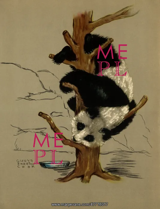  : Captive Panda