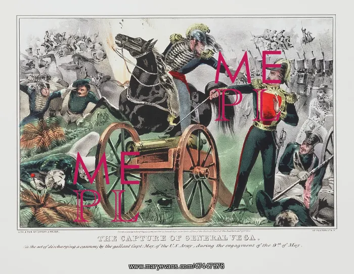 : The capture of General Vega (In the act of discharging a can : The capture of General Vega (In the act of discharging a can