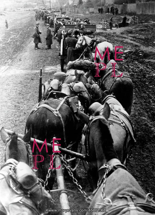: Capture of Kharkov, 1941 : Capture of Kharkov, 1941