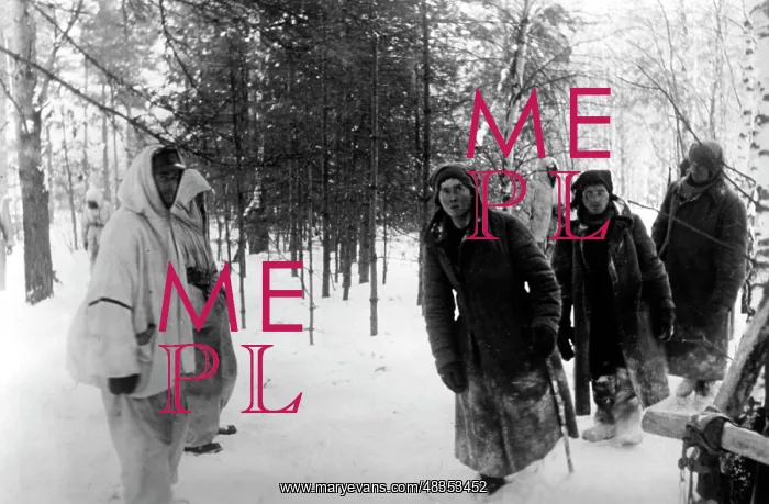 : Capture of Soviet soldiers, 1942 : Capture of Soviet soldiers, 1942