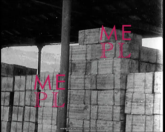 : Captured Boxes of Alcohol Sitting On Dockside : Captured Boxes of Alcohol Sitting On Dockside