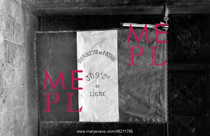 : Captured flag of a French regiment, 1914 : Captured flag of a French regiment, 1914