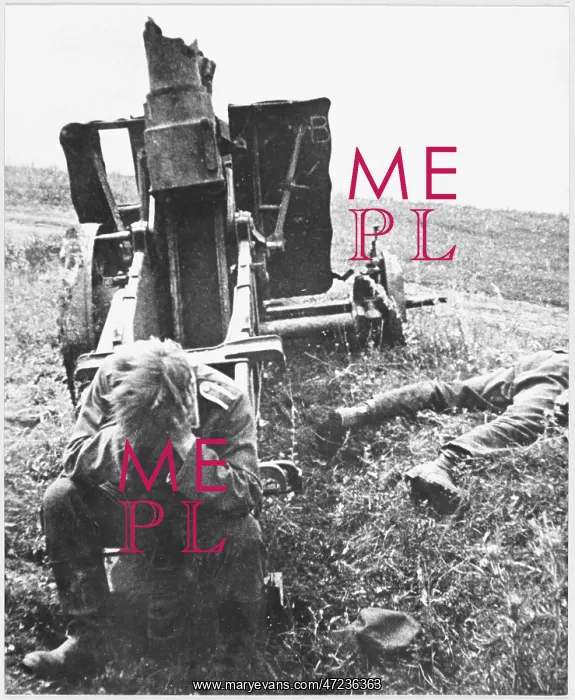 : CAPTURED GERMAN DESPAIRS : CAPTURED GERMAN DESPAIRS