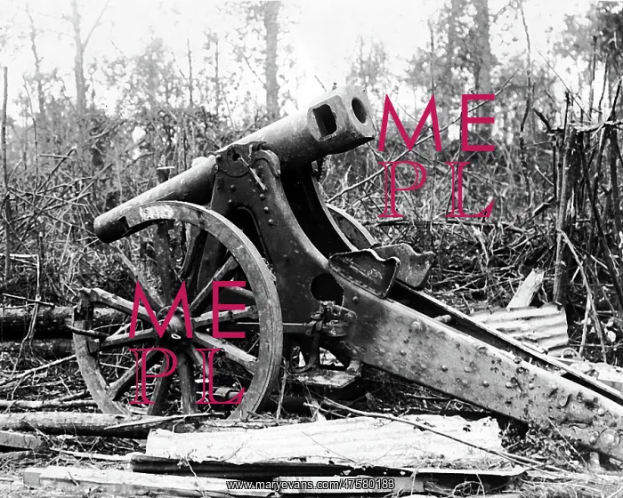 : Captured German gun, Mametz, Western Front, WW1 : Captured German gun, Mametz, Western Front, WW1