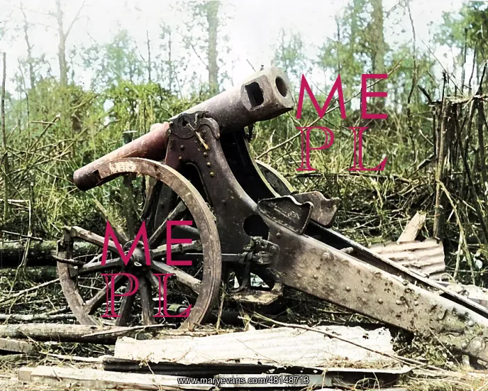 : Captured German gun, Mametz, Western Front, WW1 : Captured German gun, Mametz, Western Front, WW1