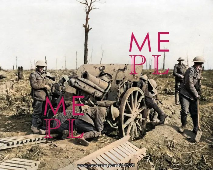 : Captured German howitzer on the Somme, WW1 : Captured German howitzer on the Somme, WW1