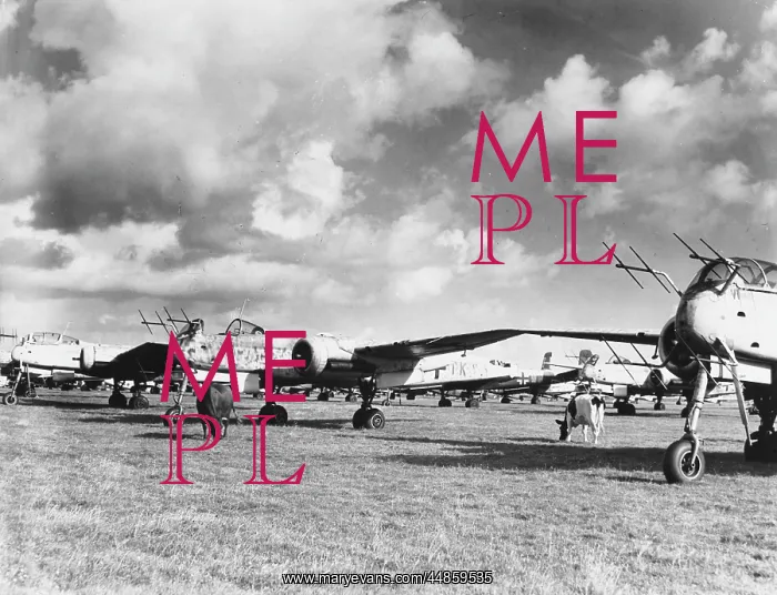 : CAPTURED HEINKEL 219S : CAPTURED HEINKEL 219S