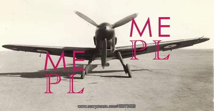 : Captured Messerschmitt Bf109F : Captured Messerschmitt Bf109F