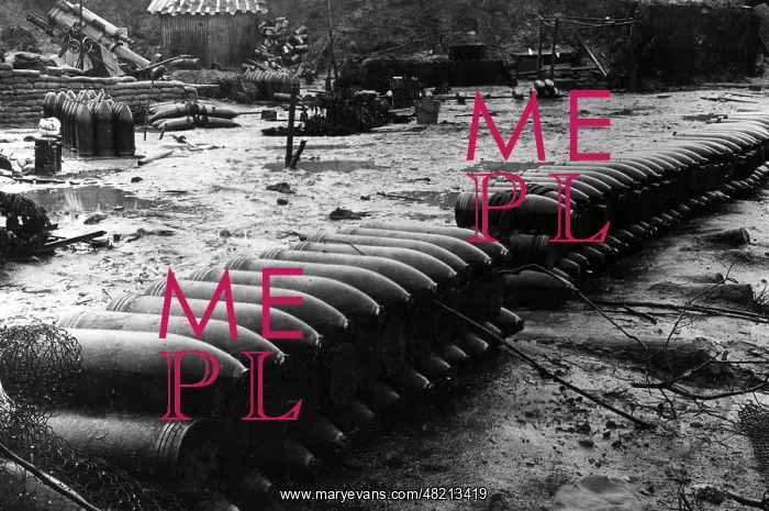 : Captured mortar position with munition depot, 1918 : Captured mortar position with munition depot, 1918