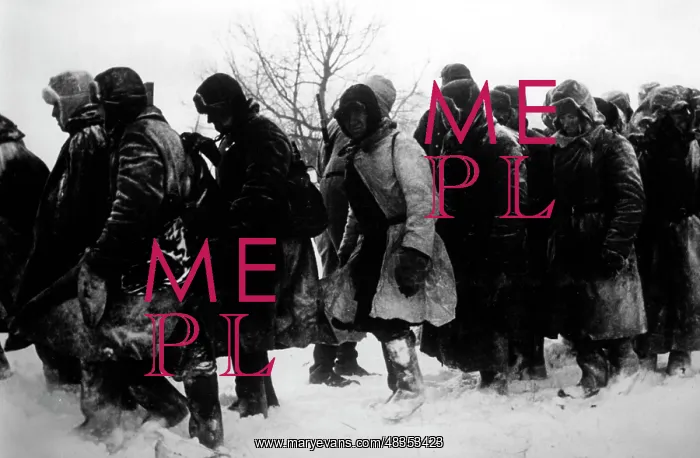 : Captured Soviet soldiers, 1942 : Captured Soviet soldiers, 1942