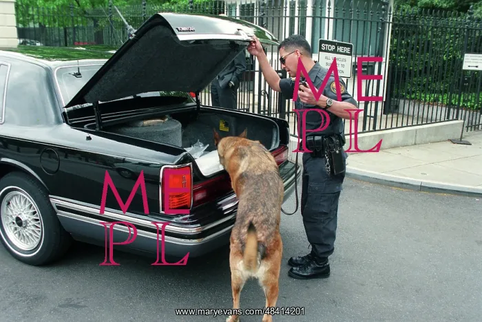 : Car-check at White House : Car-check at White House