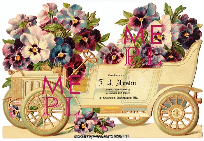 : Car full of pansies on an American scrap : Car full of pansies on an American scrap