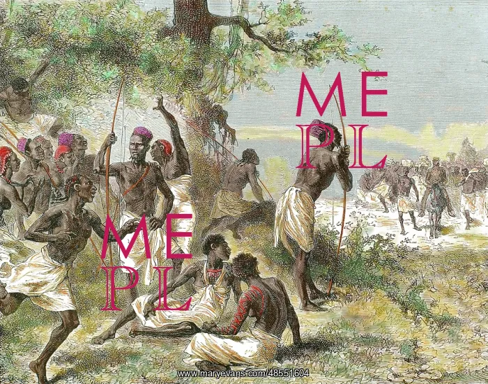 : The caravan of Dr. Livingstone found a group of armed native : The caravan of Dr. Livingstone found a group of armed native