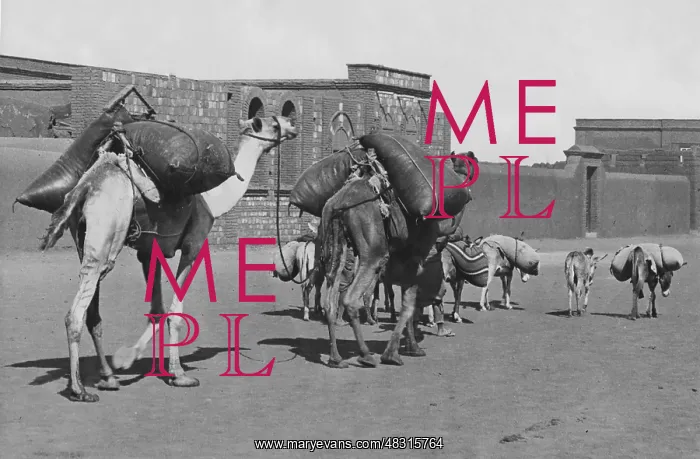 : Caravan in Iraq, 1927 : Caravan in Iraq, 1927