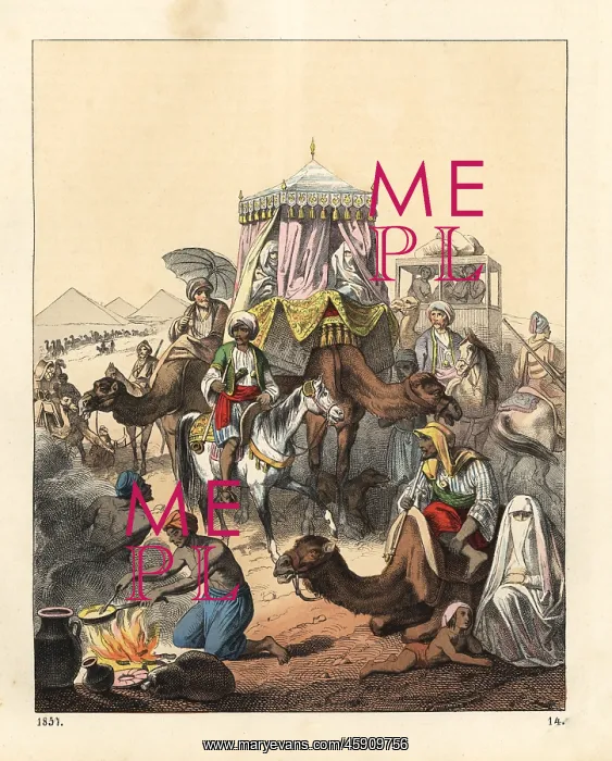 : Caravan across the Sahara, mid 19th century : Caravan across the Sahara, mid 19th century