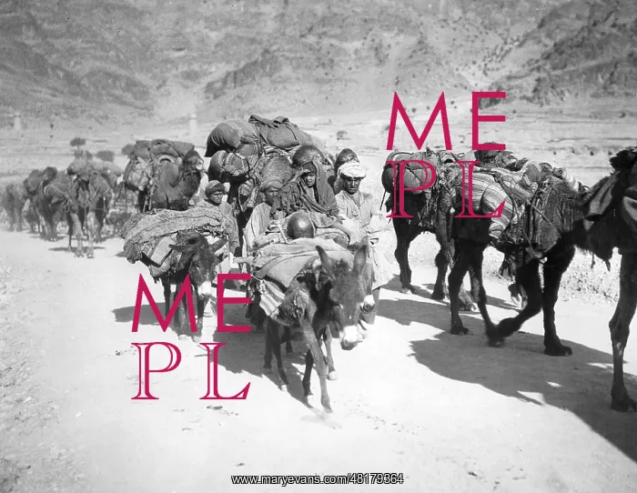 : Caravans in Afghanistan, 1933 : Caravans in Afghanistan, 1933