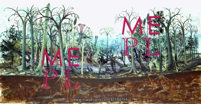 : Carboniferous coal forest : Carboniferous coal forest