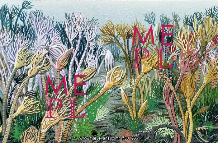  : Carboniferous crinoid garden