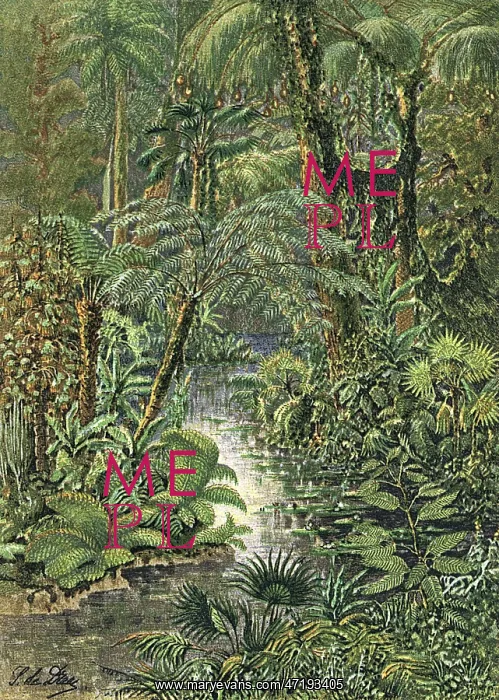  : CARBONIFEROUS L'SCAPE