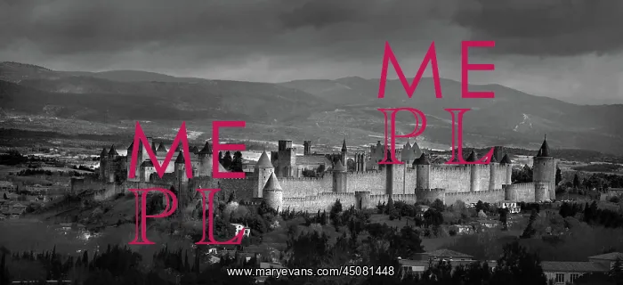 : Carcassonne : Carcassonne